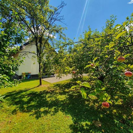 Вілла Tetmajera View & Garden Дембіца Екстер'єр фото