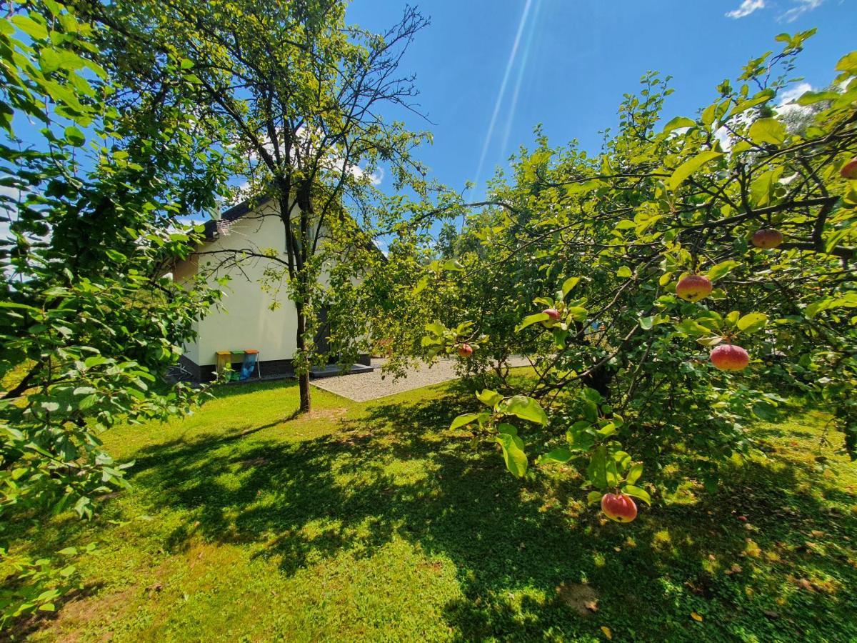 Вілла Tetmajera View & Garden Дембіца Екстер'єр фото